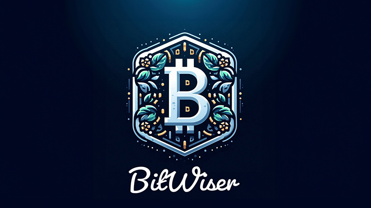 BitWiser - Strategic Technology Partnerships and Solutions