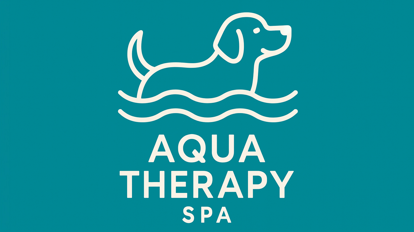 On Point Canine and Equine Therapy - Hydrotherapy Services in Denton TX
